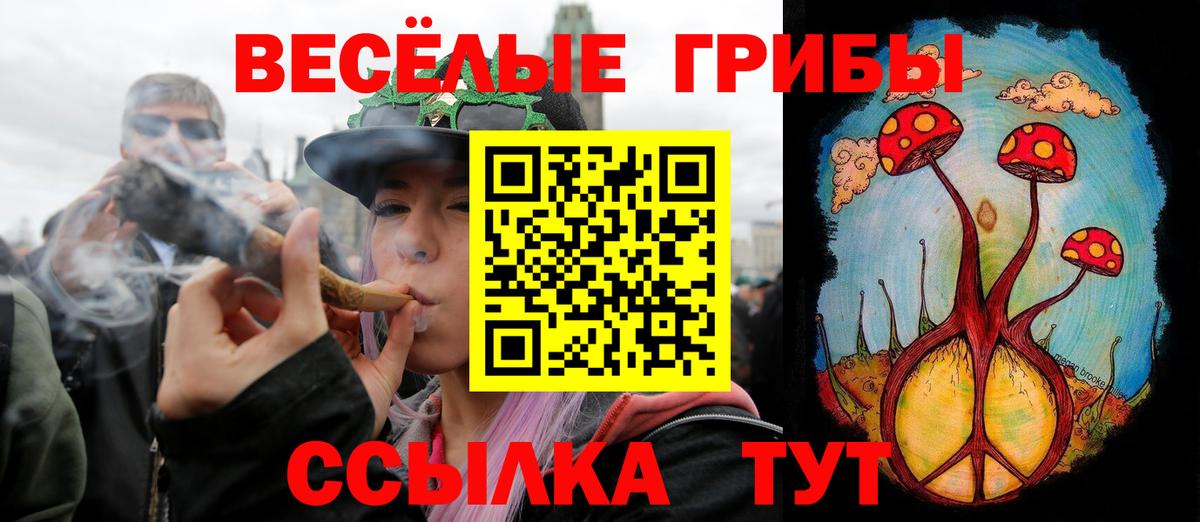 Петрозаводск  Галлюциногенные грибы Magic Shrooms  Вход с VPN 