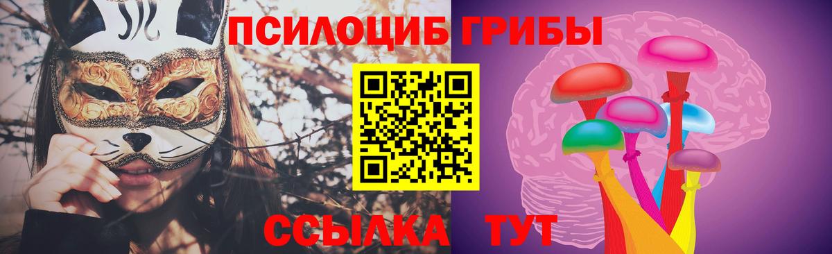 Псилоцибиновые грибы Psilocybe Петрозаводск